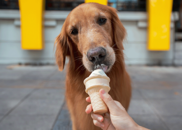 iStock-1437843700_2web