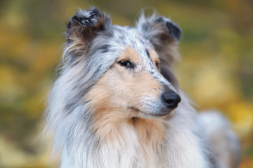 iStock-1386060215_web