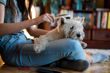 iStock-1190114734_web